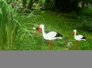 Ozdoby orodowe_8